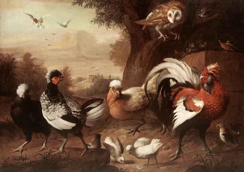 Jakob Bogdani Fowls and Owl China oil painting art
